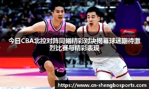 升博体育平台